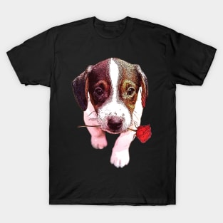 'Rose Boston Terrier ' Valentine's Day Boston Terrier T-Shirt